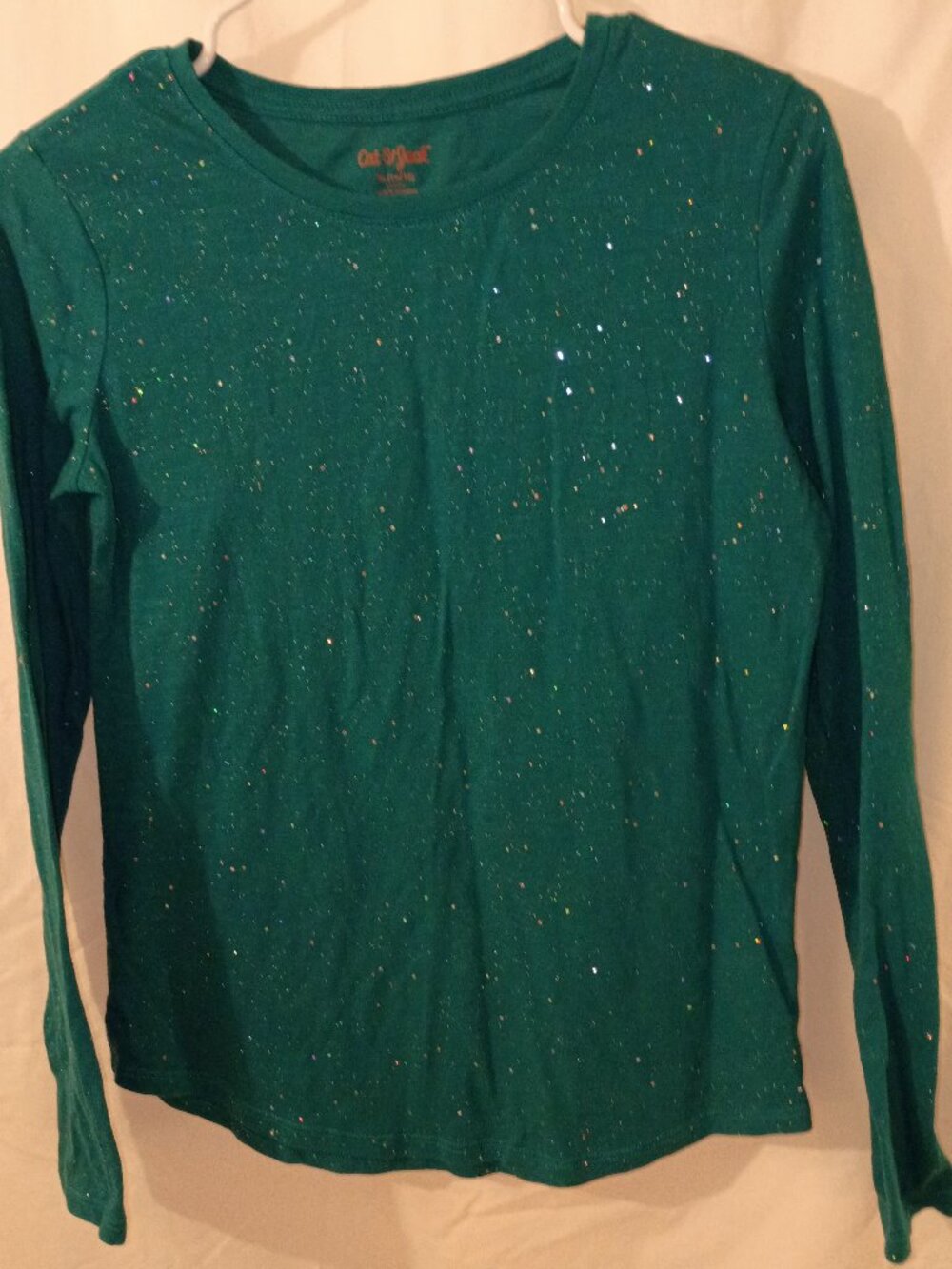 Cat and Jack Girls XL (14-16) Teal Long Sleeve Top With Silver Glitter